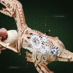ROKR Velociraptor Wooden Model Kit