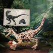 ROKR Velociraptor Wooden Model Kit
