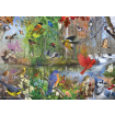 Cobble Hill birds Of The Season 1000 Piece Jigsaw