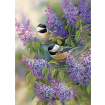 Cobble Hill Chickadees and Lilacs 1000 Piece Jigsaw