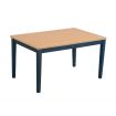 Shaker Style Table Blue/Pine