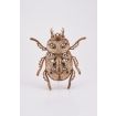 Wood Trick Beetle
