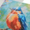 Craft Buddy “Spring Robin” Crystal Art Canvas Kit