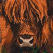Craft Buddy "Highland Cow" Crystal Art Canvas Kit