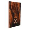 Craft Buddy "Highland Cow" Crystal Art Canvas Kit