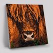 Craft Buddy "Highland Cow" Crystal Art Canvas Kit