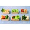 Vegetable Crates x 6 for 12th Scale Dolls House