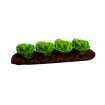 Row of 4 Cabbages for 12th Scale Dolls House