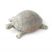 Pack of 1 Resin Tortoise for 12th Scale Dolls House