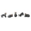 Black Cats Pack of 5 Assorted for 12th Scale Dolls House