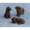 Chocolate Labrador Puppies Pk 3 for 12th Scale Dolls House