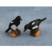 Magpies Pk 2 for 12th Scale Dolls House