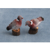 Pigeons Pk 2 for 12th Scale Dolls House
