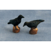 Crows Pk 2 for 12th Scale Dolls House