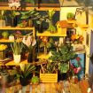 Rolife Cathy's Flower House DIY Greenhouse Miniature Kit