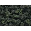 Woodland Scenics Forest Green Blend Bushes