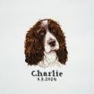 Trimits Cross Stitch Springer Spaniel Kit