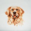 Trimits Cross Stitch Golden Retriever Kit