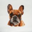 Trimits Cross Stitch French Bulldog Kit