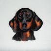 Trimits Dachshund Large Counted Cross Stitch Kit