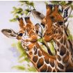 Trimits Giraffes Extra Large Printed Cross Stitch Kit