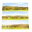 Gaugemaster Valley Large Photo Backscene (2744x304mm)