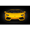 Pocher 1/8 Scale Lamborghini Aventador LP 700-4 Giallo Orion Model Kit