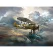 ICM 1/32 Scale Gloster Gladiator Mk.I, WWII British Fighter Model Kit