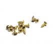 Small Brass Screws - 6mm Long X 2mm Dia (12)