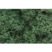 Woodland Scenics Light Green Lichen