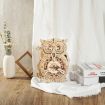 ROKR Owl Clock Battery Mechanical Gears Wooden Model Kit