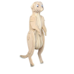 Quay Meerkat Wooden Model Kit