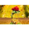 Pantasy Le Petit Prince™ Rose Swing Model Kit