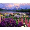 Figured'Art Flowers Near The Mountain Rolled Canvas Painting By Numbers Kit