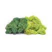 Hornby Lichen - Large Green Mix OO Gauge