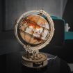 ROKR Luminous Globe Wooden Model Kit