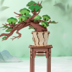 Rolife Evergreen Pine Bonsai Wooden Model Kit