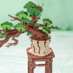 Rolife Evergreen Pine Bonsai Wooden Model Kit