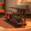 Rolife Steam Journey Wooden Model Kit