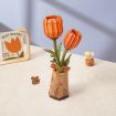 Rowood Orange Tulip Wooden Model Kit