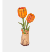 Rowood Orange Tulip Wooden Model Kit