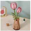 Rowood Pink Tulip Wooden Model Kit