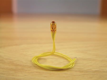 Expo Coloured 12 volt Grain of Wheat bulb, pack of 10