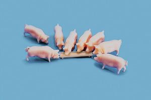 Peco Pigs & Trough OO Gauge
