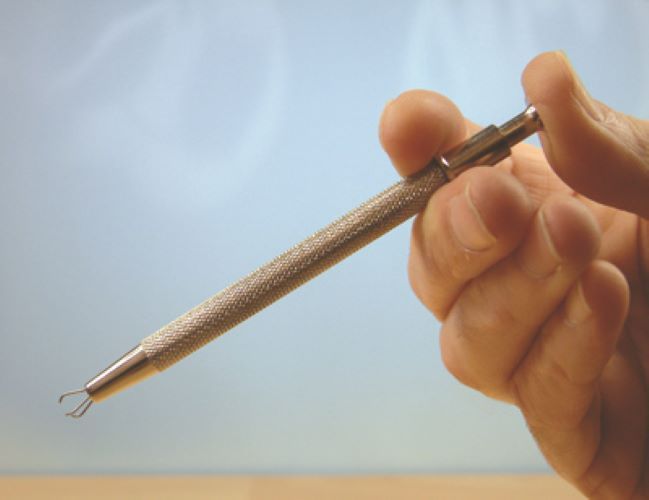 Expo Stainless Prong Pick Up Tool