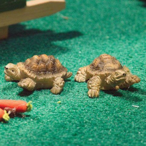 Terry & Jerry Tortoises for 12th Scale Dolls House