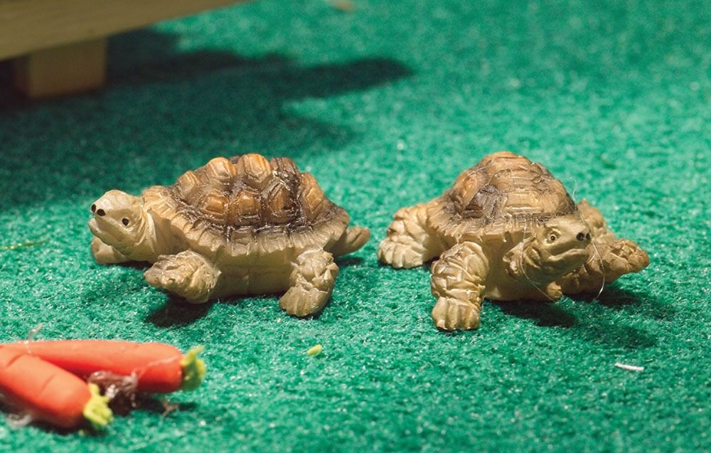 Terry & Jerry Tortoises for 12th Scale Dolls House