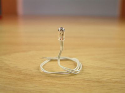 Expo Clear 6 volt Grain of Wheat bulb, pack of 10