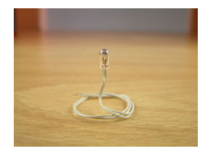 Expo Clear 6 volt Grain of Wheat bulb, pack of 10