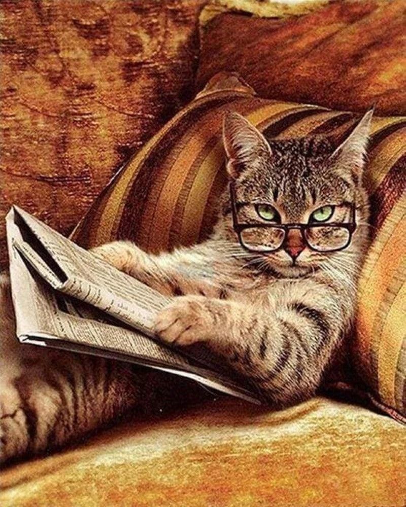 Figured'Art Don't Mess With This Cat Printed Cross Stitch Kit